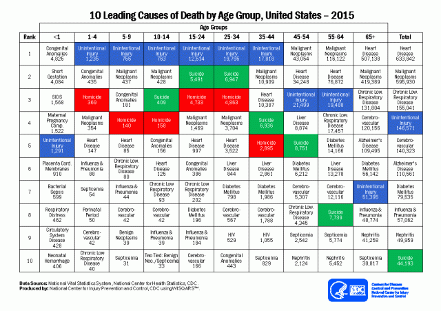 leading_causes_of_death_age_group_2015_1050w740h
